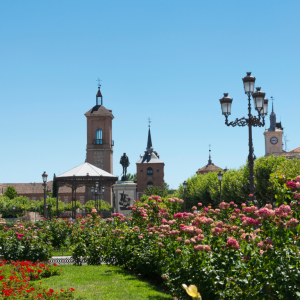 Visita Alcalá de Henares + Pulsera Turística con descuento del 20% en entradas